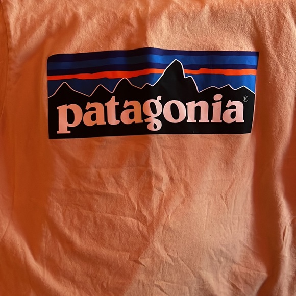patagonia tee size XL but fits more tight to skin - Picture 2 of 3